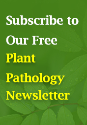  Plant Pathology Newsletter